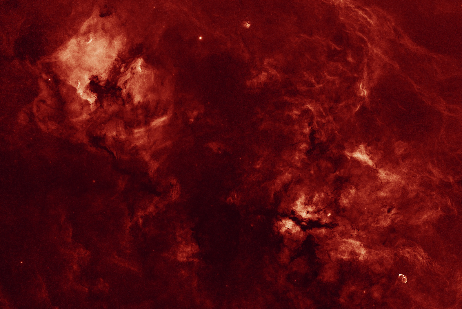 Cygnus in Fire