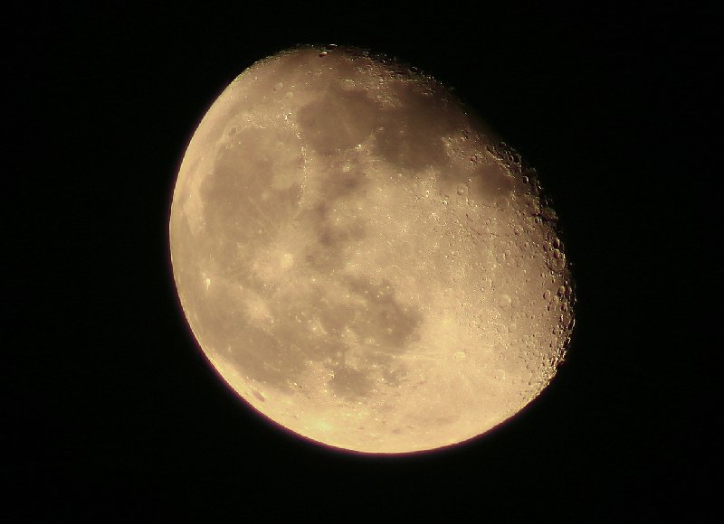 Golden Moon