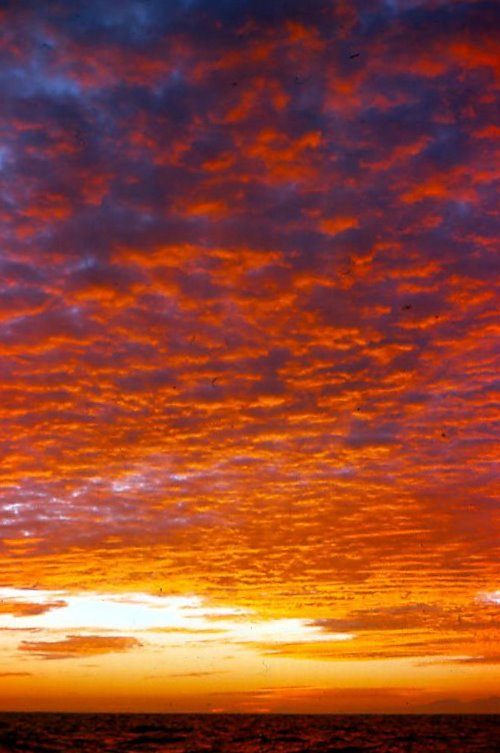 Sunrise over Sea of Cortez