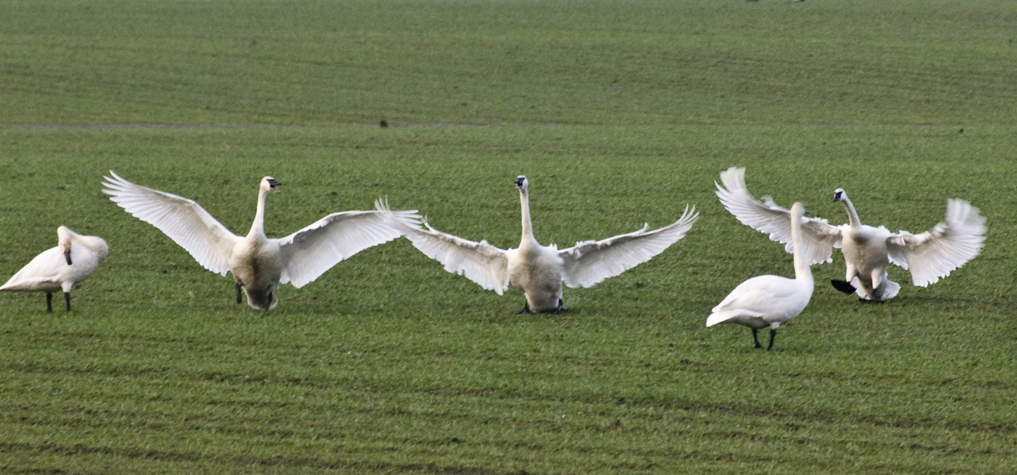 Three Point Landing