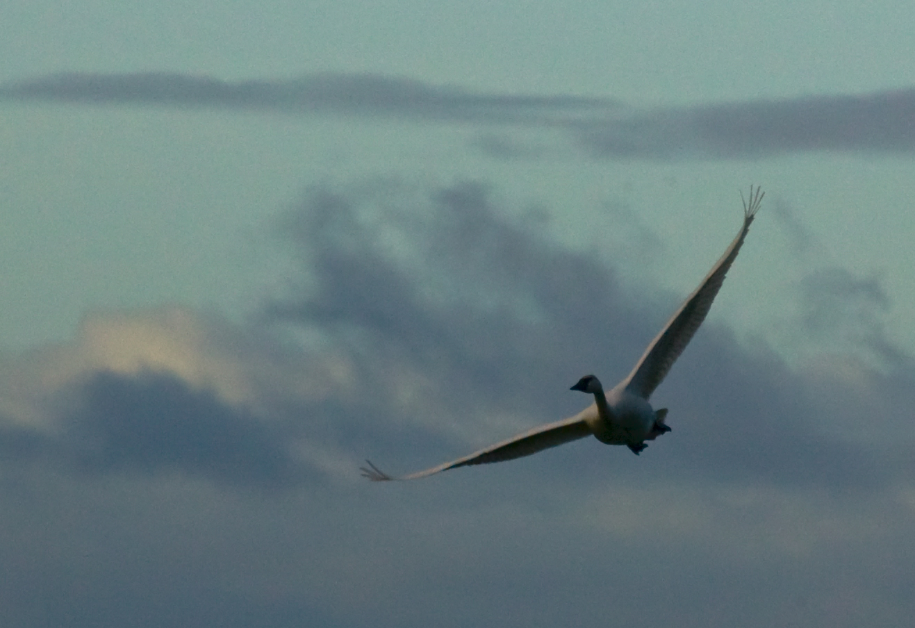 Final Approach