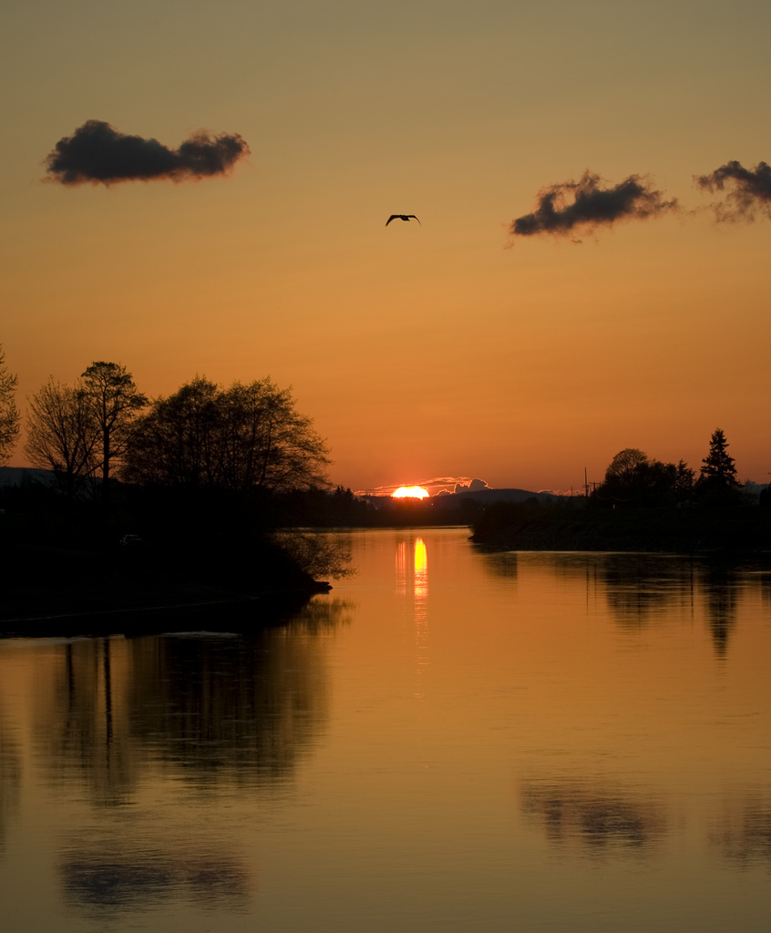 River Sunset