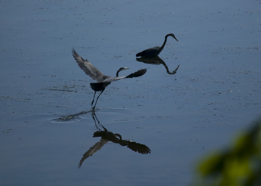 Heron 4-7