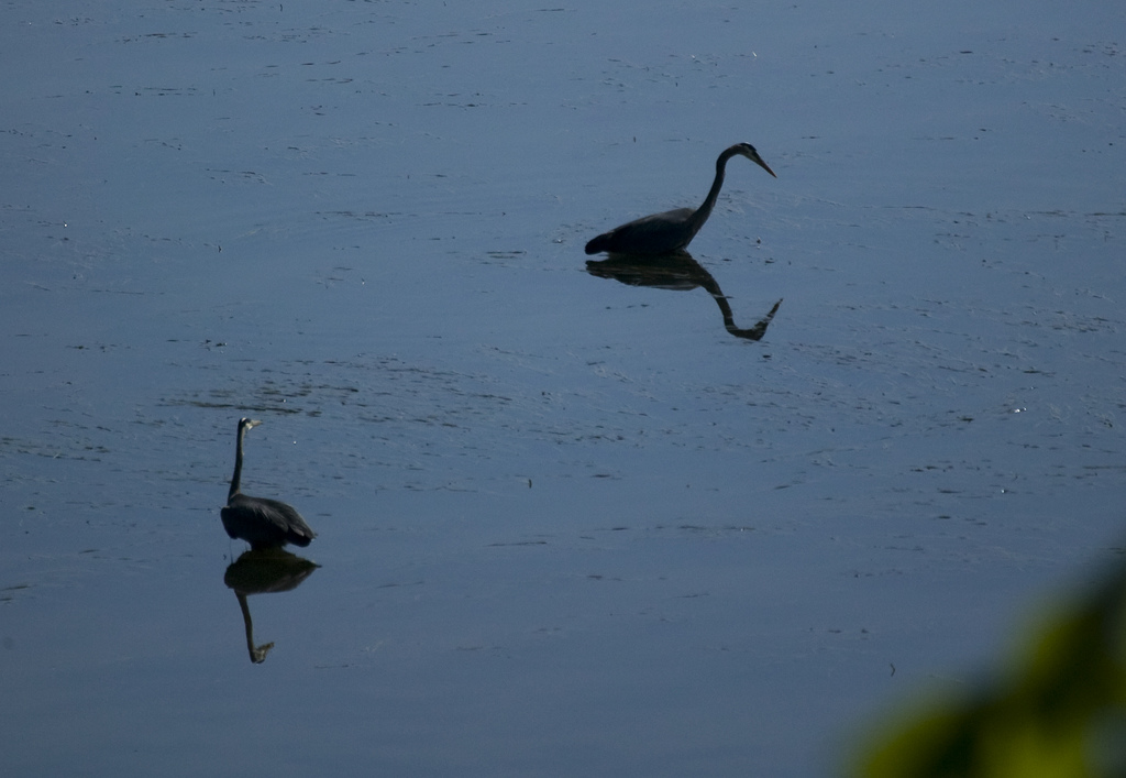 Heron 1-7