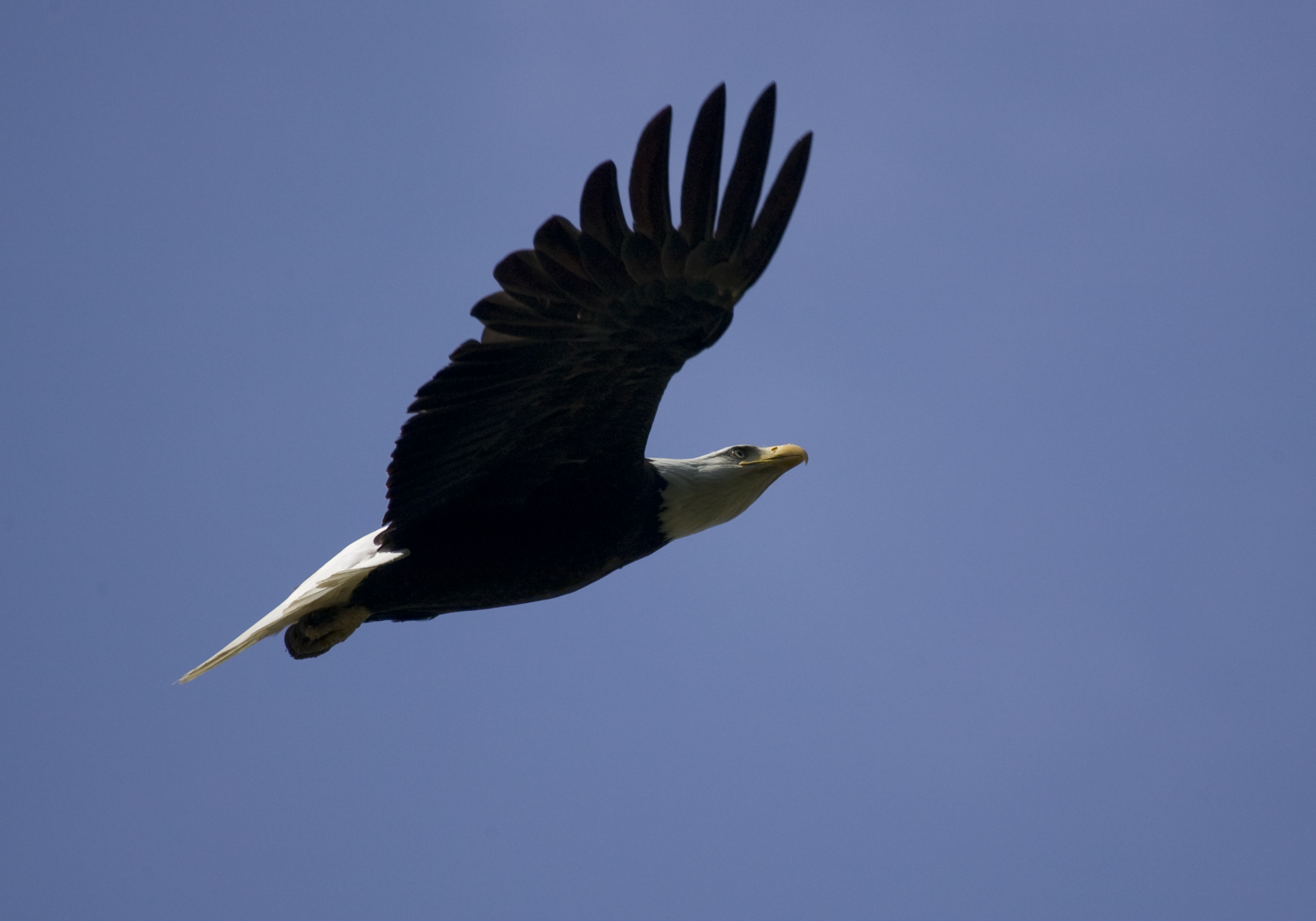 Another Fly-by