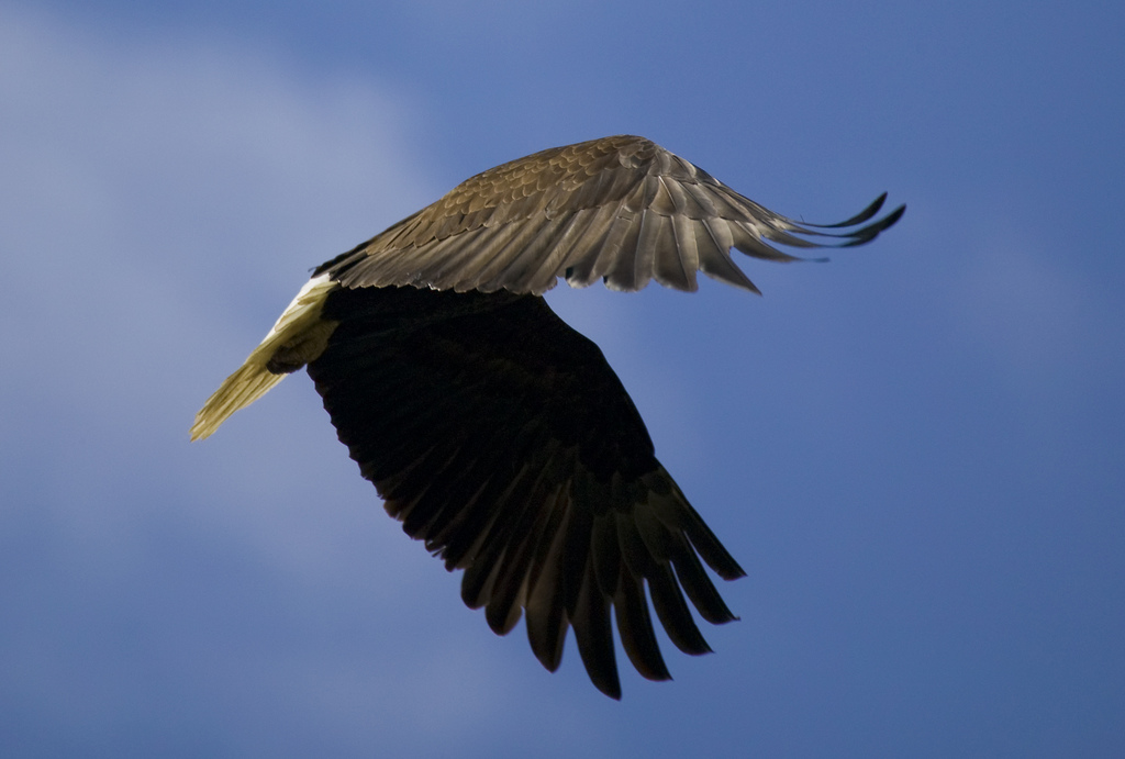 Take-off