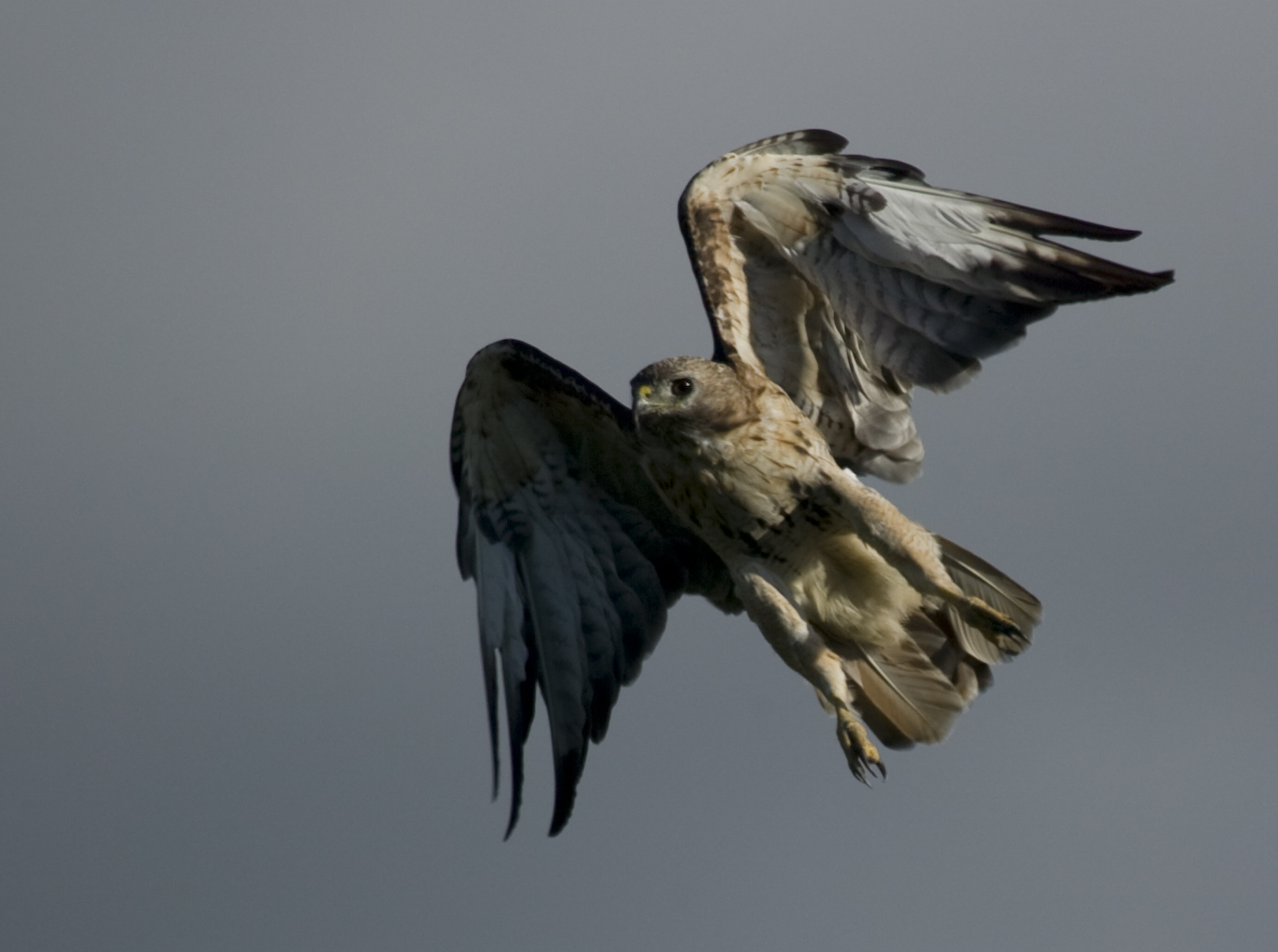On the Chase II