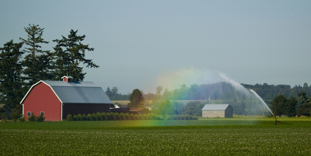 Sprinkler Rainbow