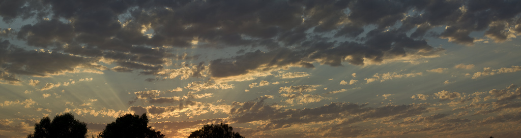 August Sunset