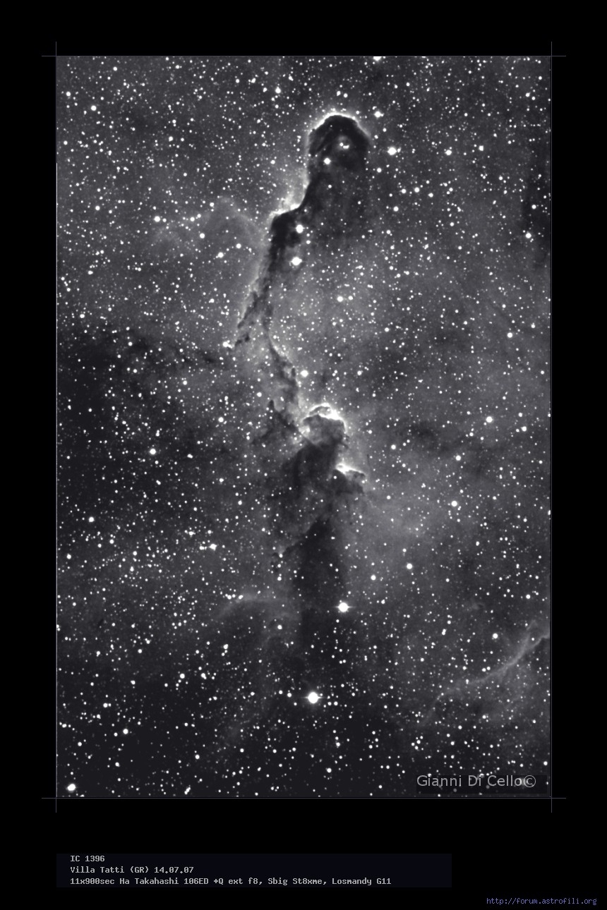 IC 1396 Elephant Trunk