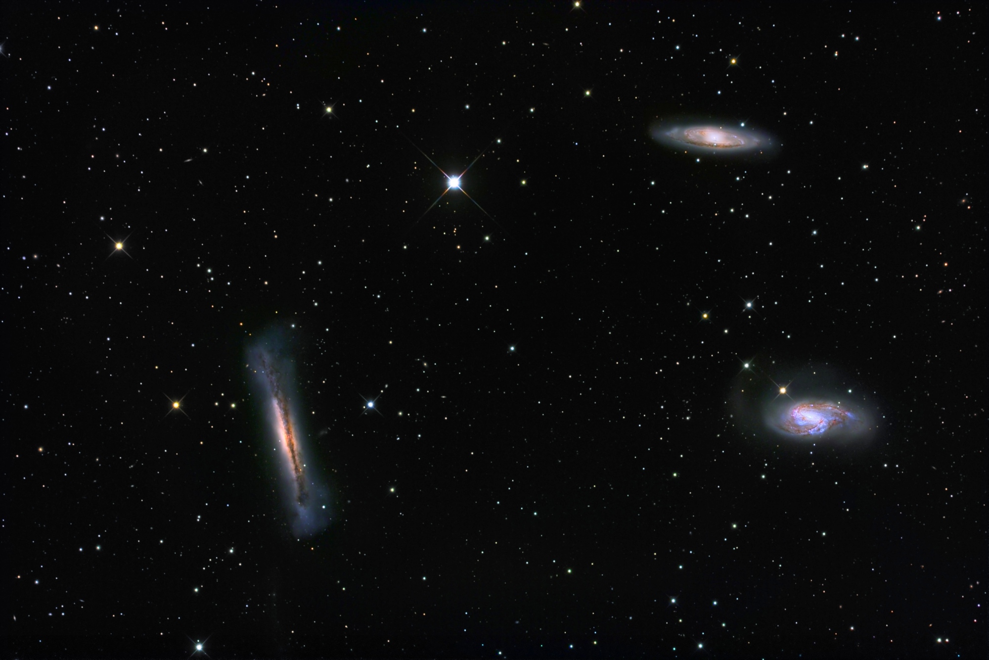 Leo Trio