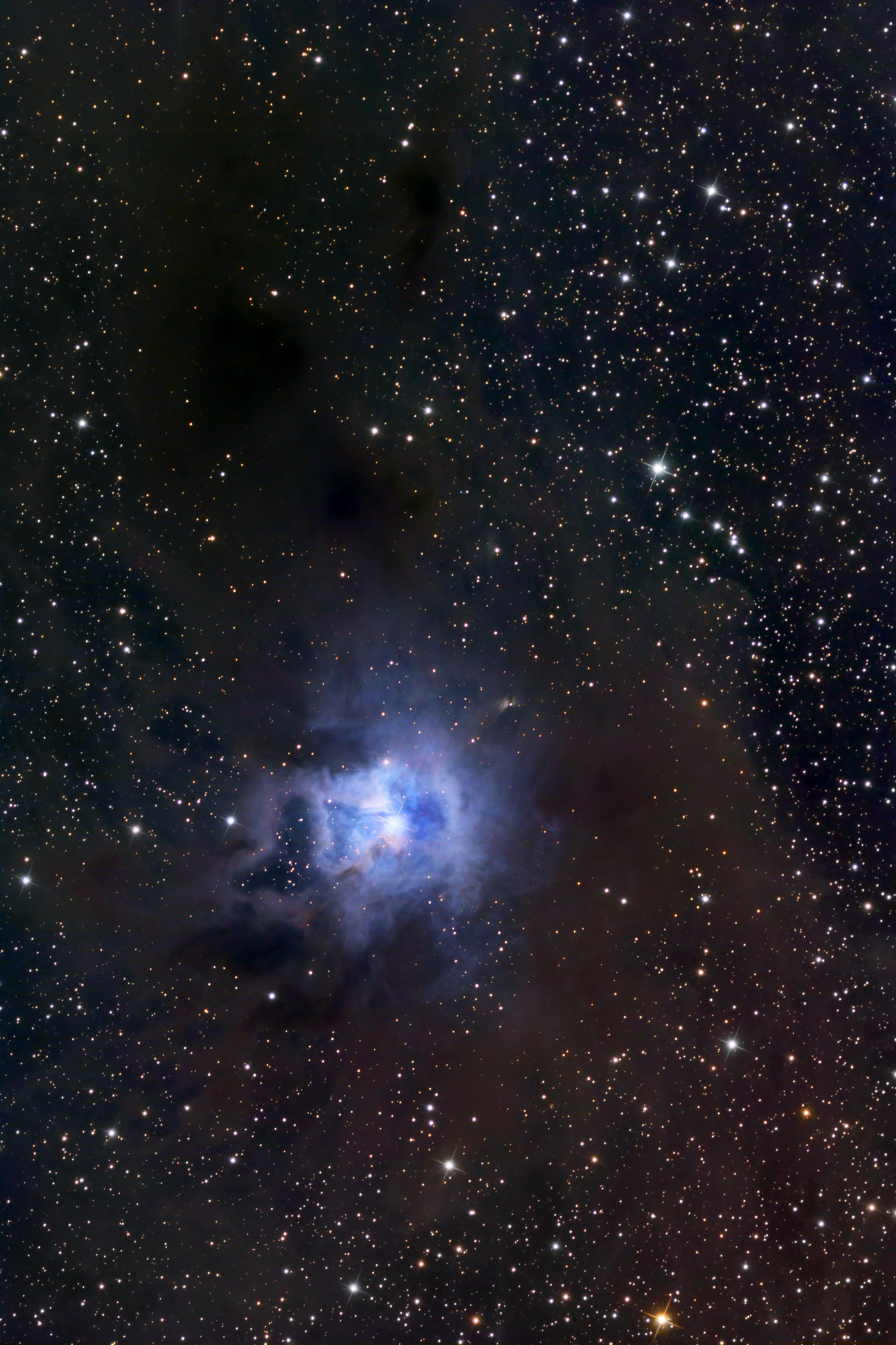 Iris Nebula NGC7023