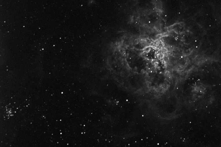 TARANTULA NEBULA NGC2070