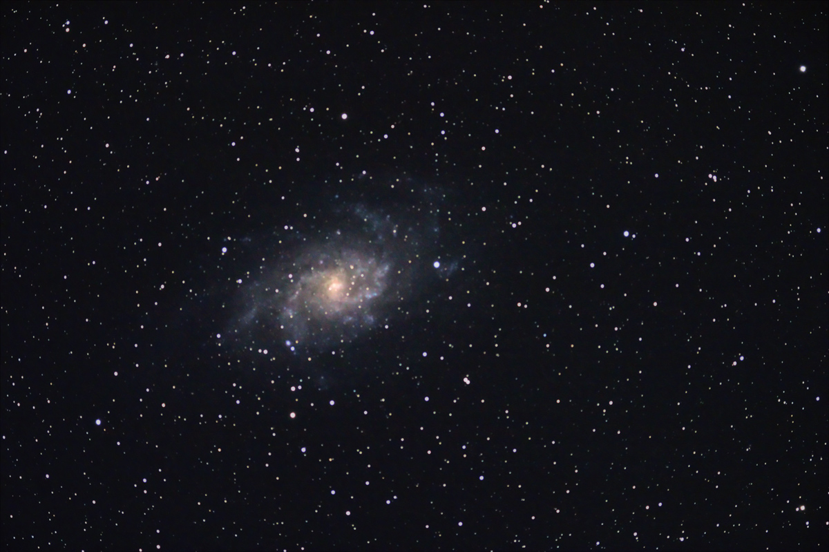 M33