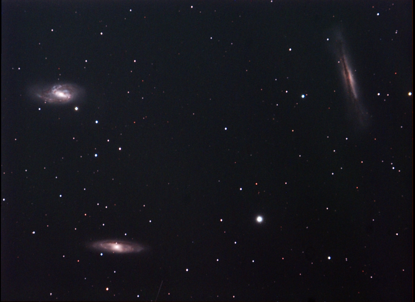 LEO TRIO