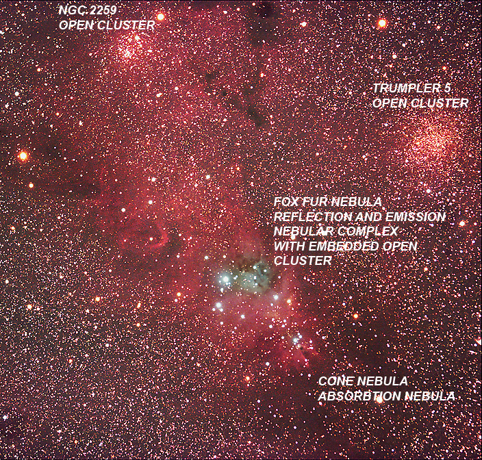 Widefield Cone and Fox Fur region Labeled
