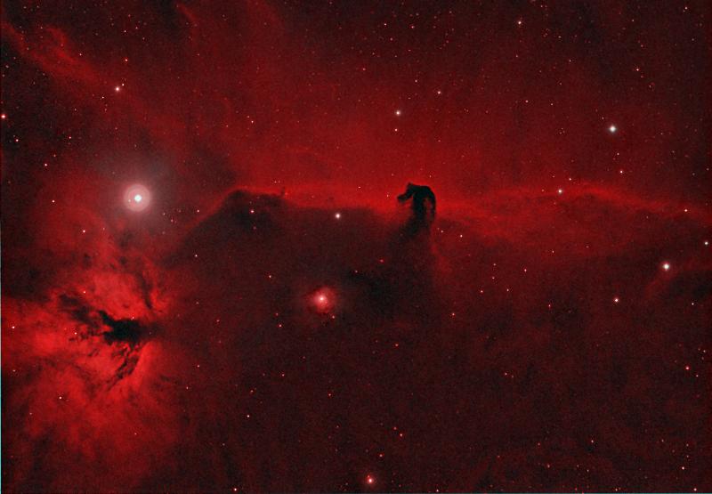 Dark Horse and Red Flame