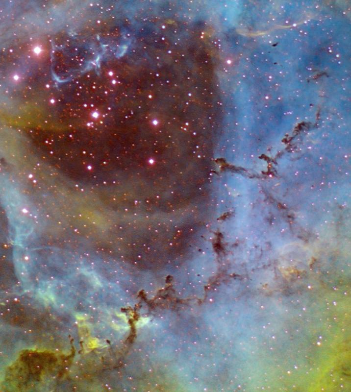 Dust columns in the Rosette