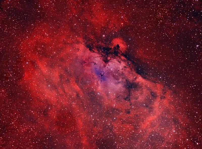 Red, Blue and White Eagle