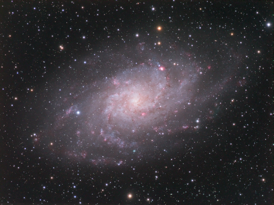 M33
