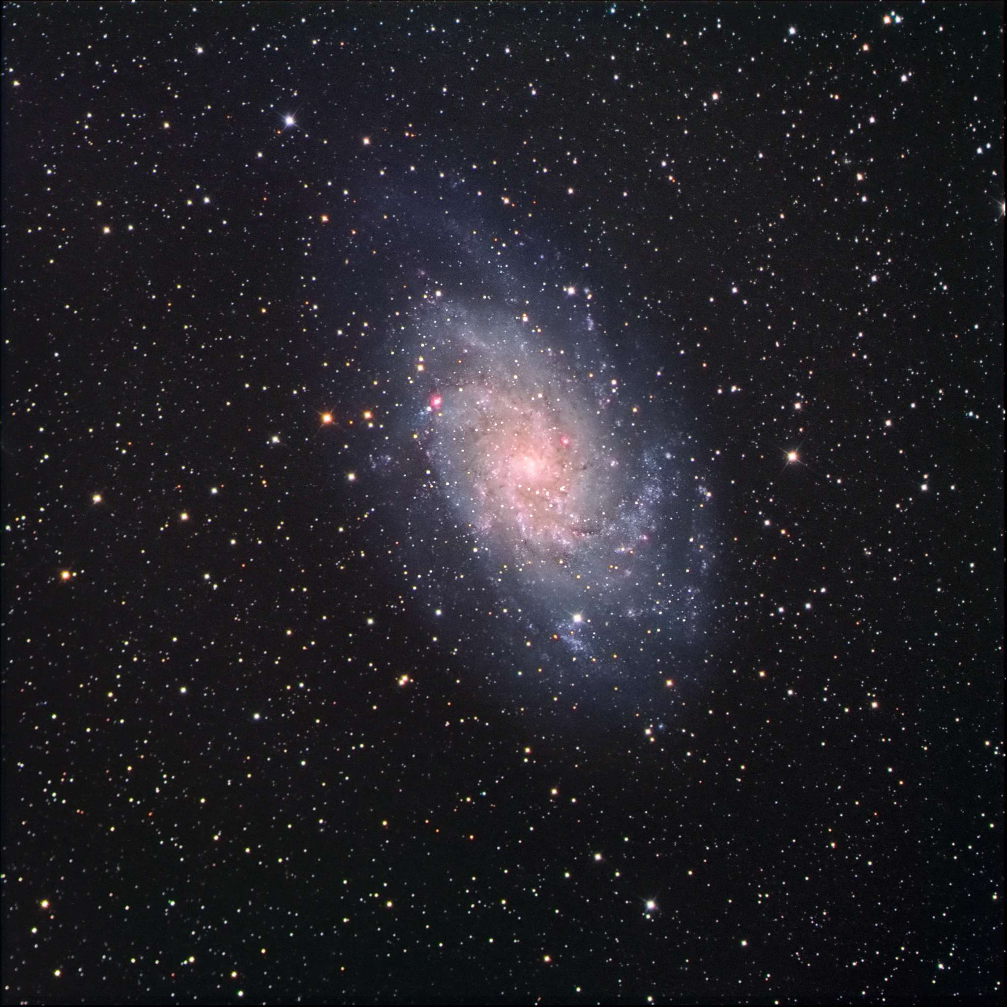 M33