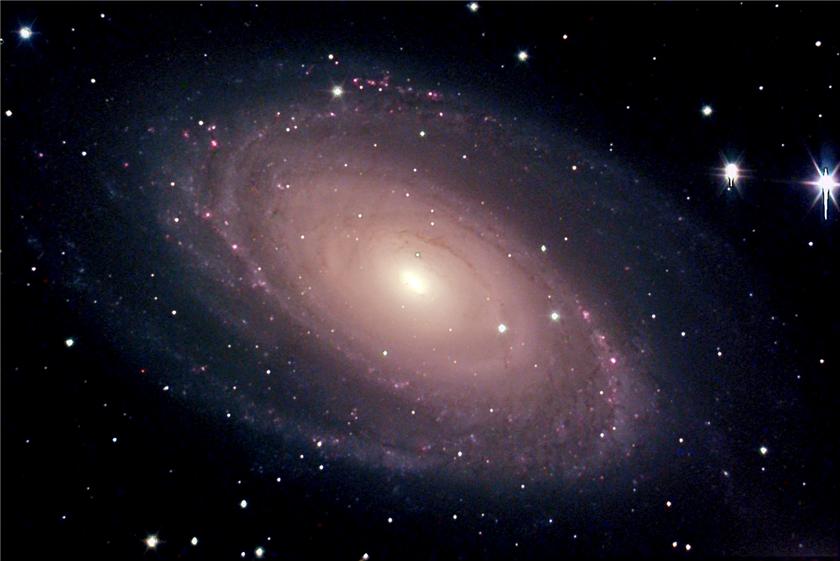 M81