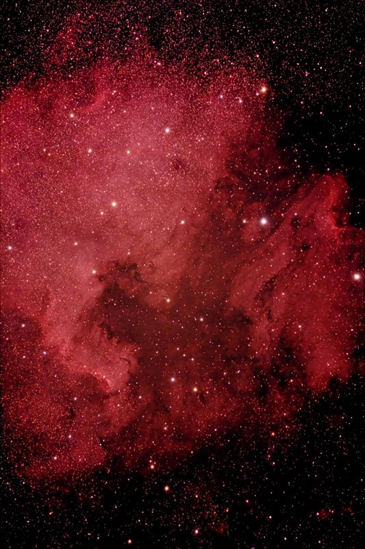 NGC 7000 and Pelican Nebula