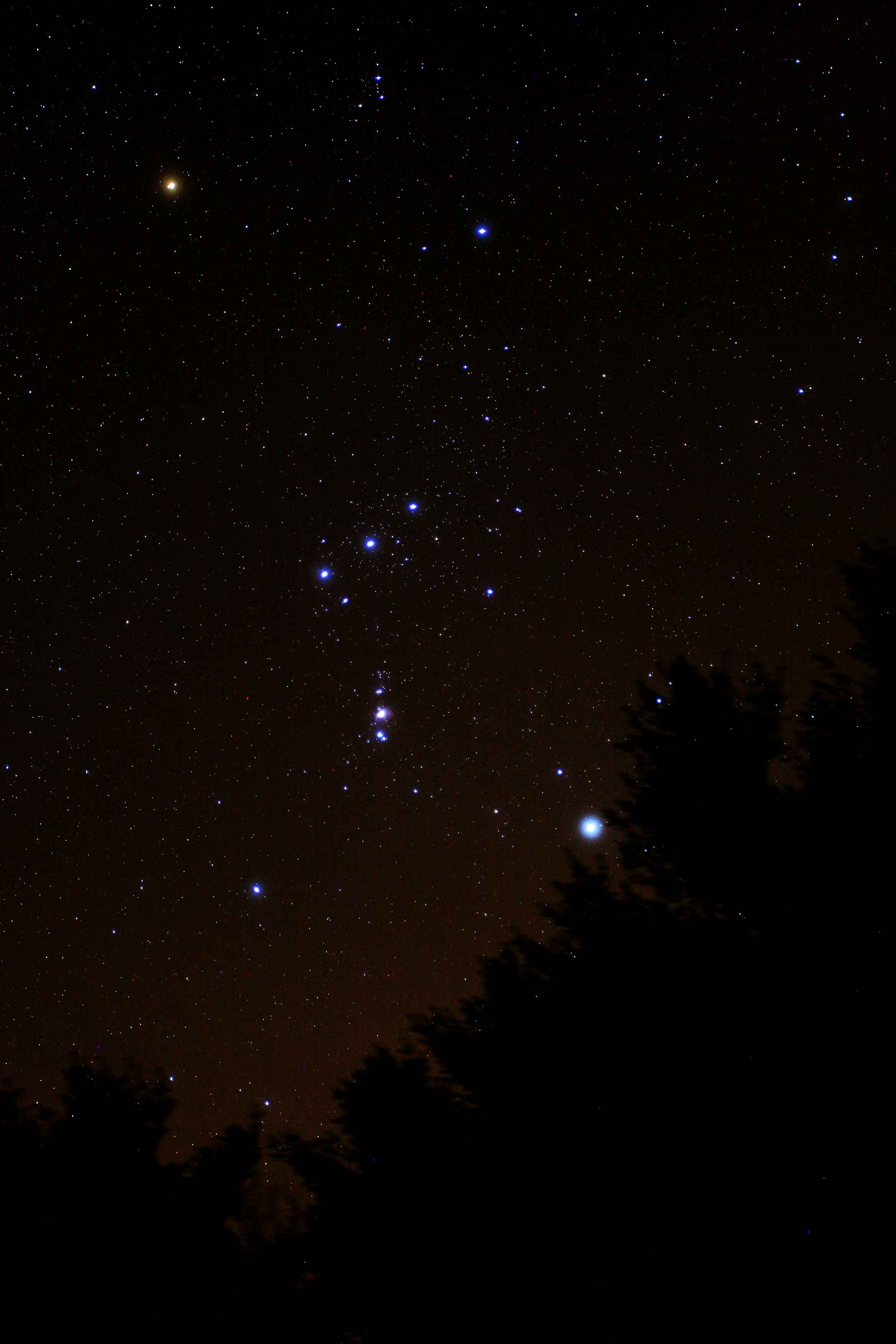 Farewell Orion