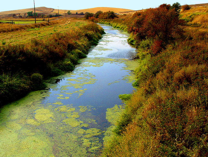 Country setting