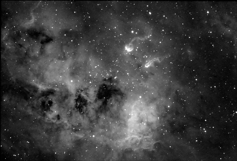 IC410 (SH2-236) and Tadopoles