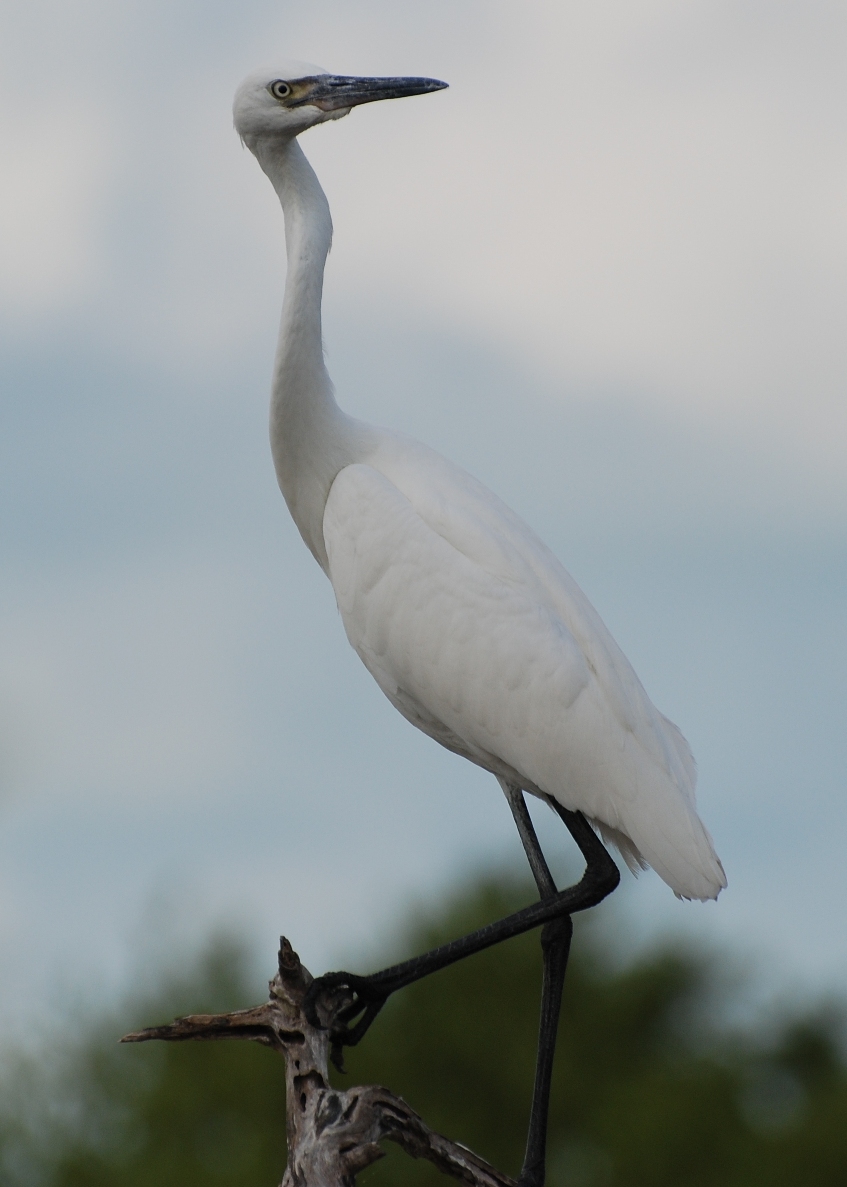 Are you looking at me