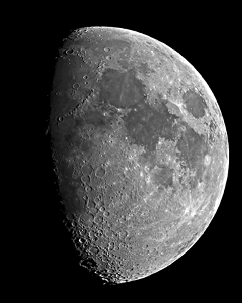 Backyard Moon