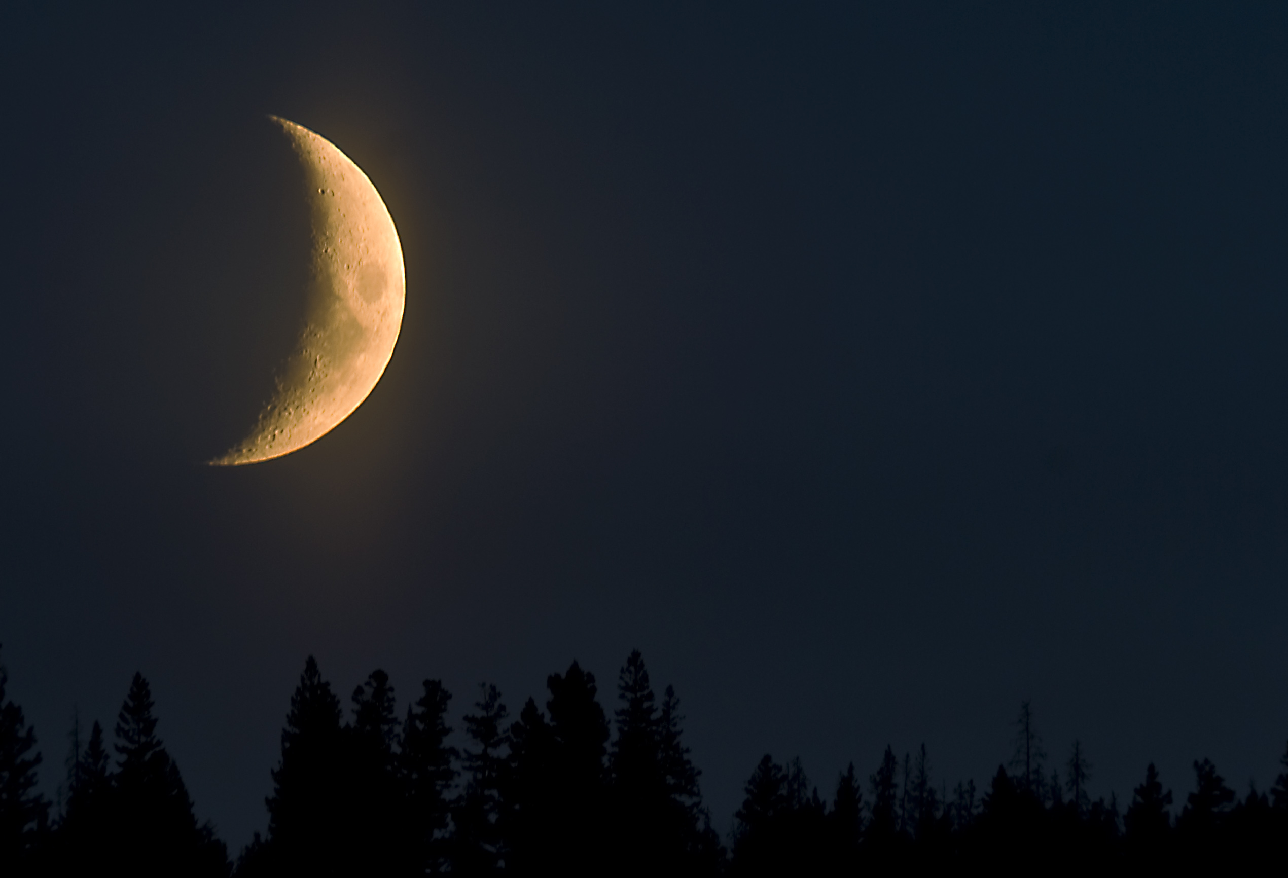 Setting Moon