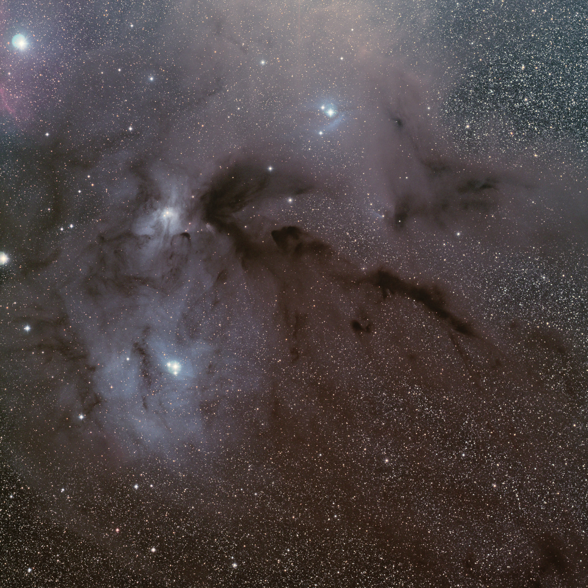 Rho Ophiuchus