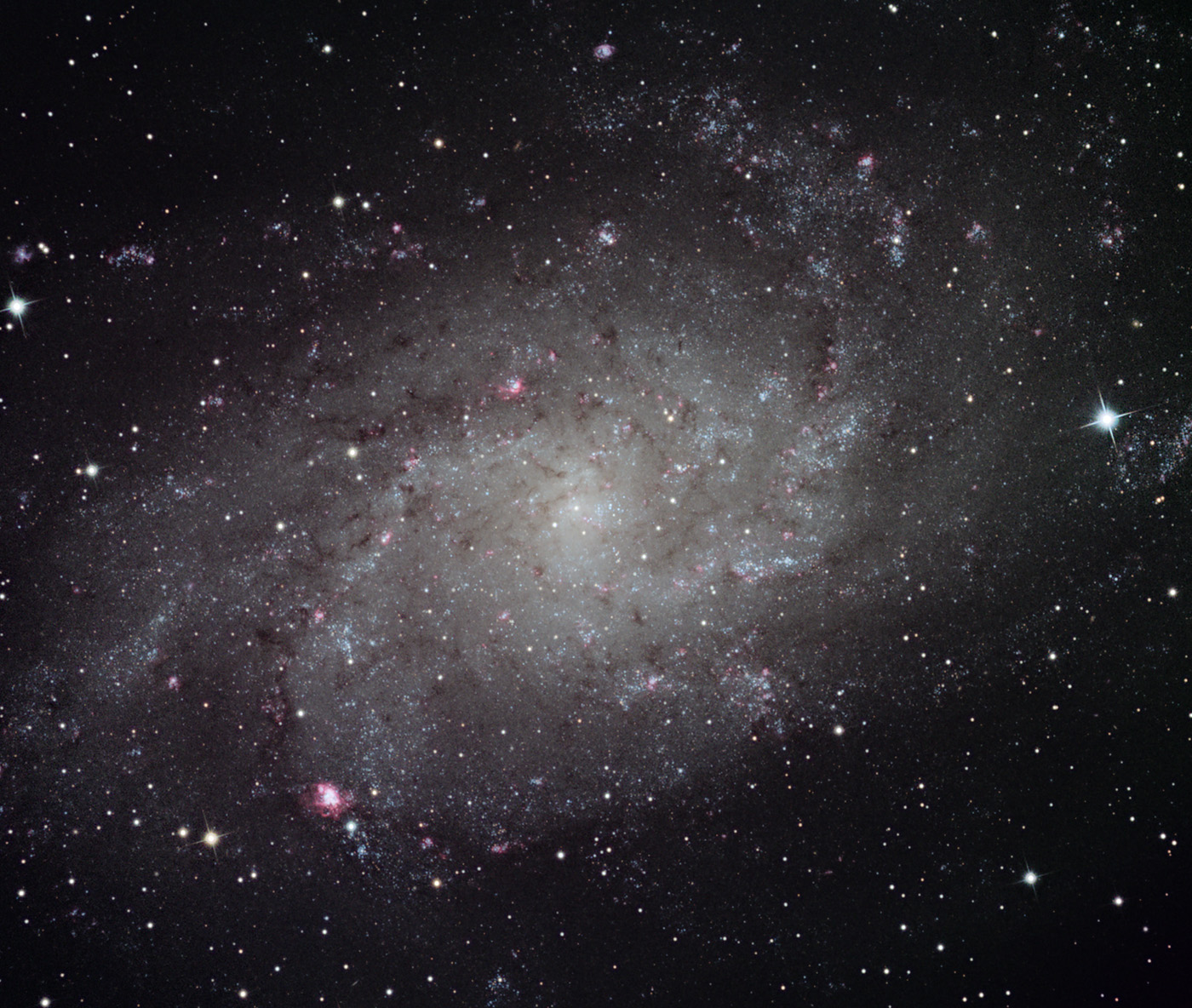 M33