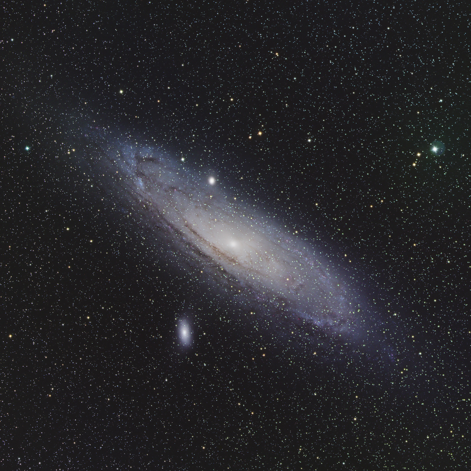 M31