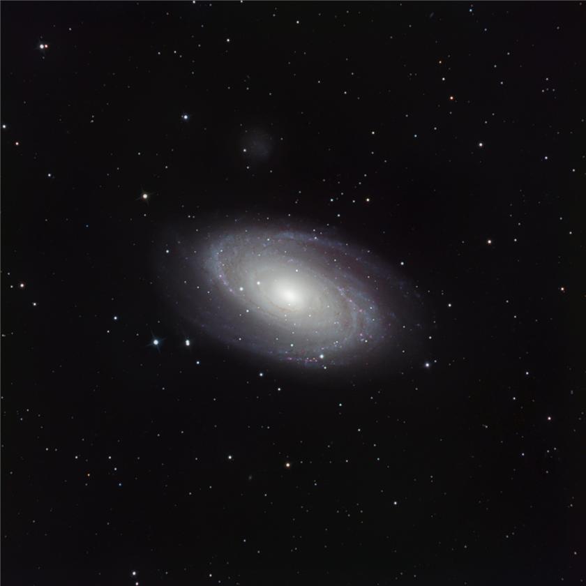 M81