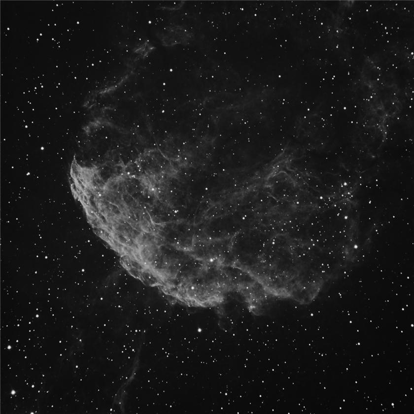sh2 248
