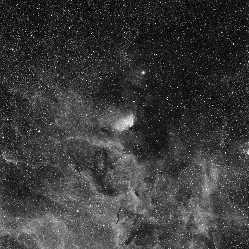 Sh2 101. Tulip