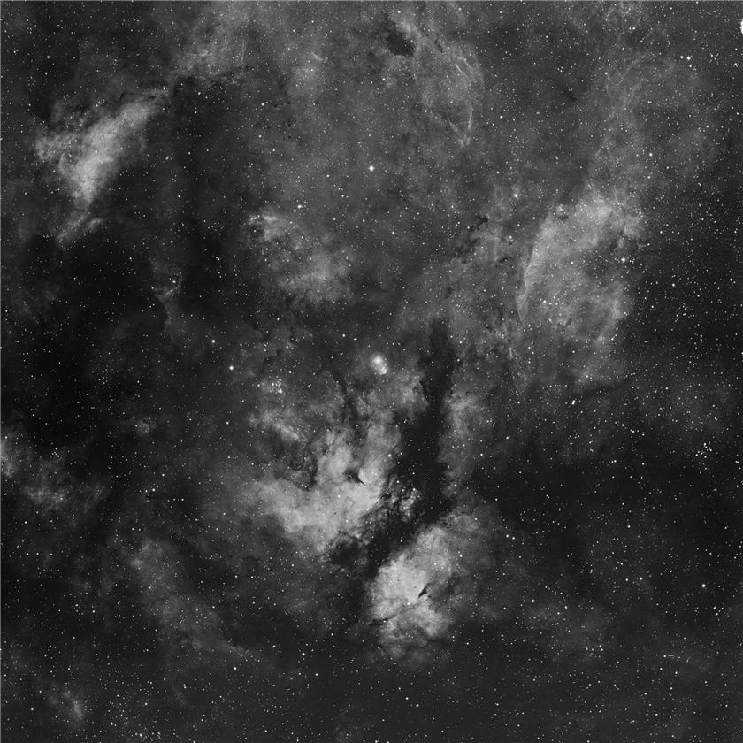 Sadr in Cygnus