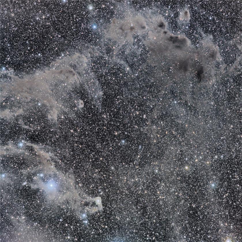Black nebulas in Chameleontis