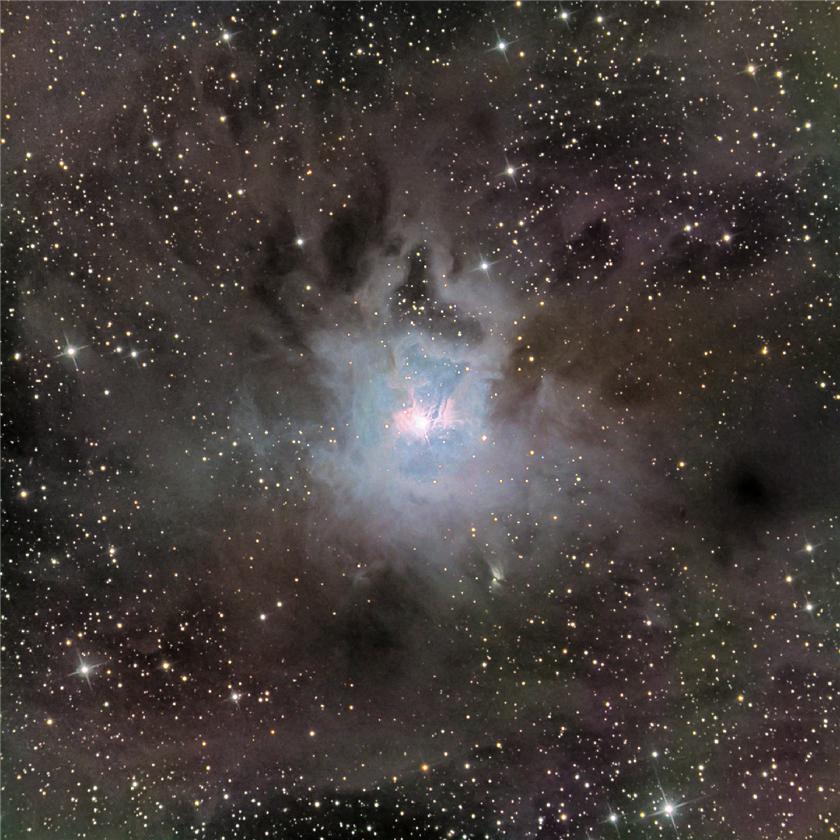 NGC7023. Iris
