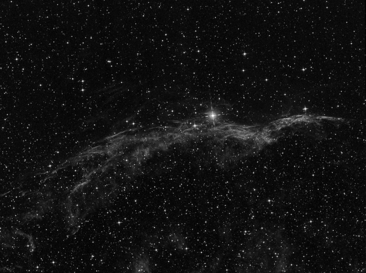 The Western Veil