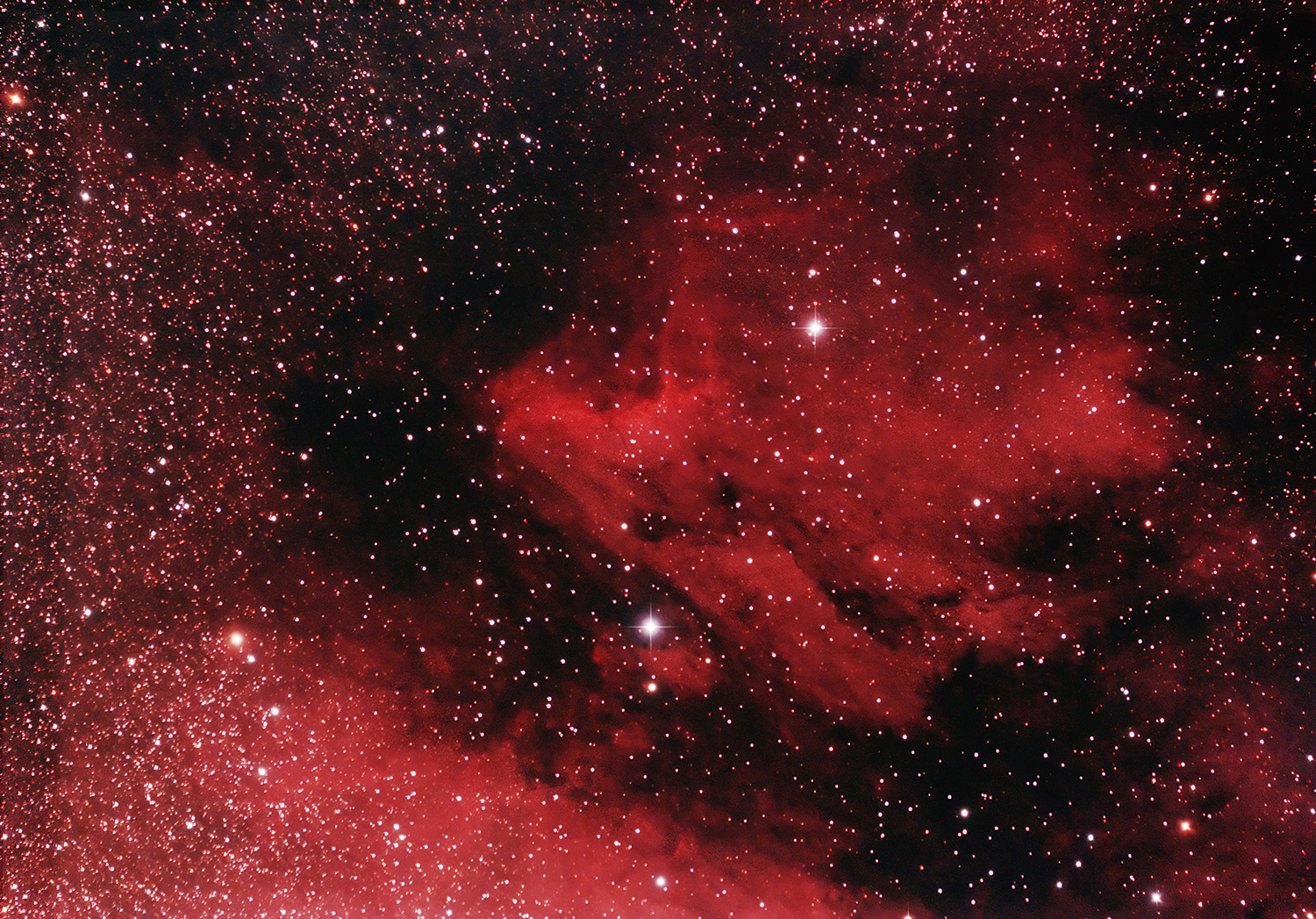 Pelican Nebula