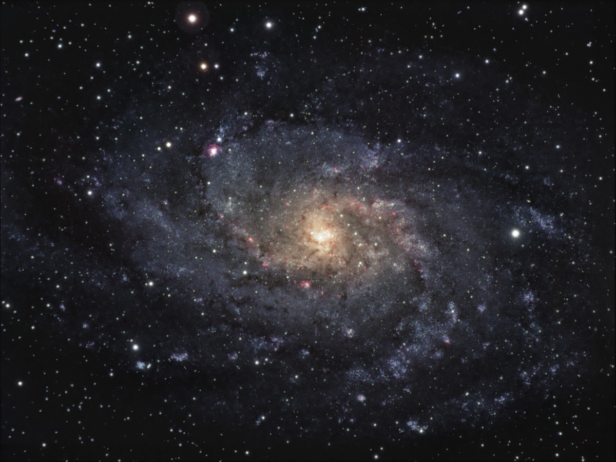 M33