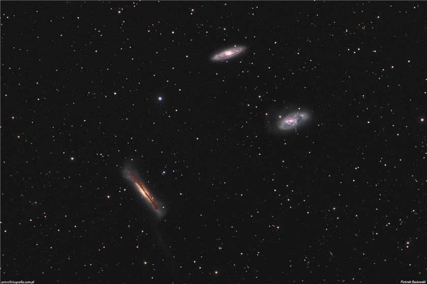 The Leo Triplett (M66 group)
