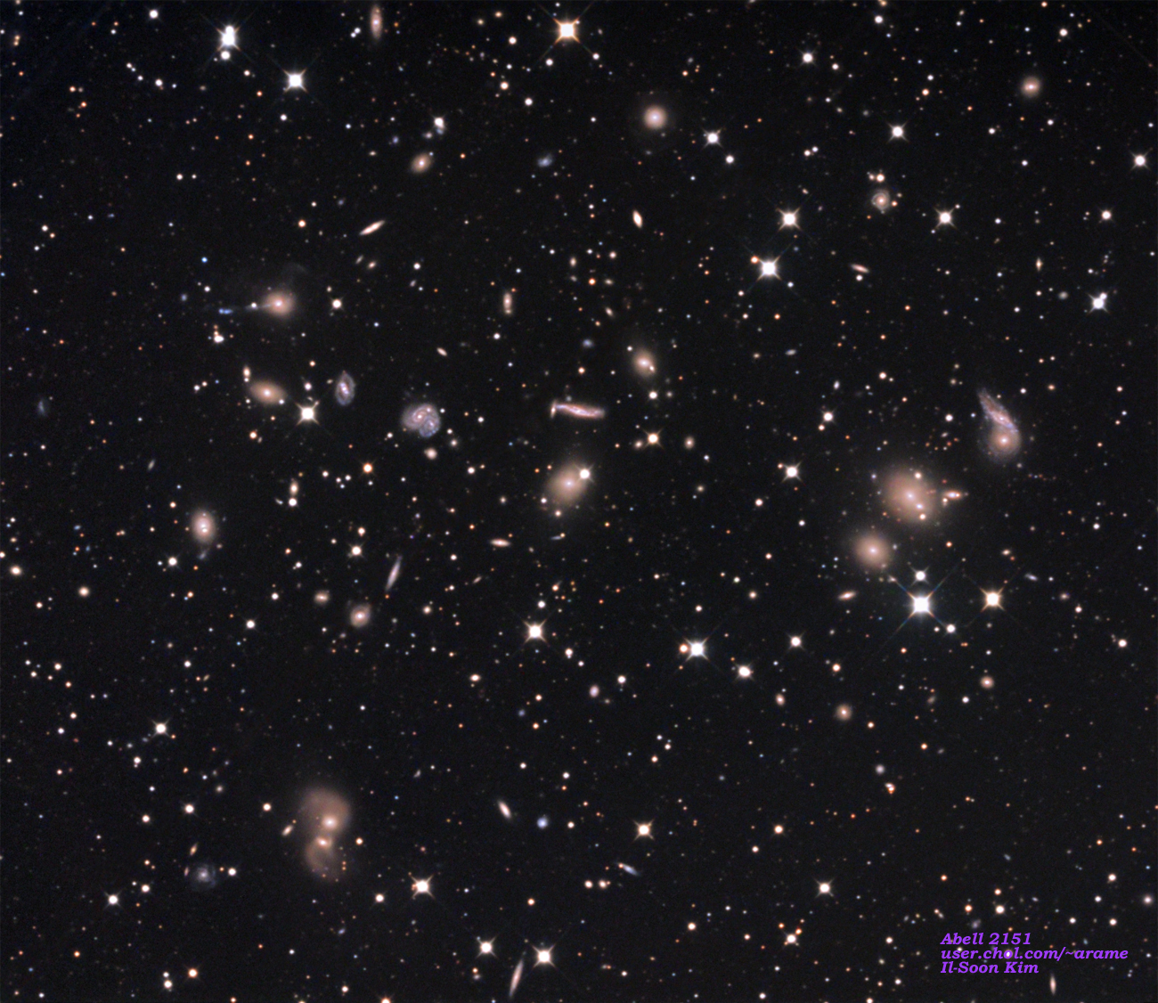 Abell 2151 - The Hercules Galaxy Cluster