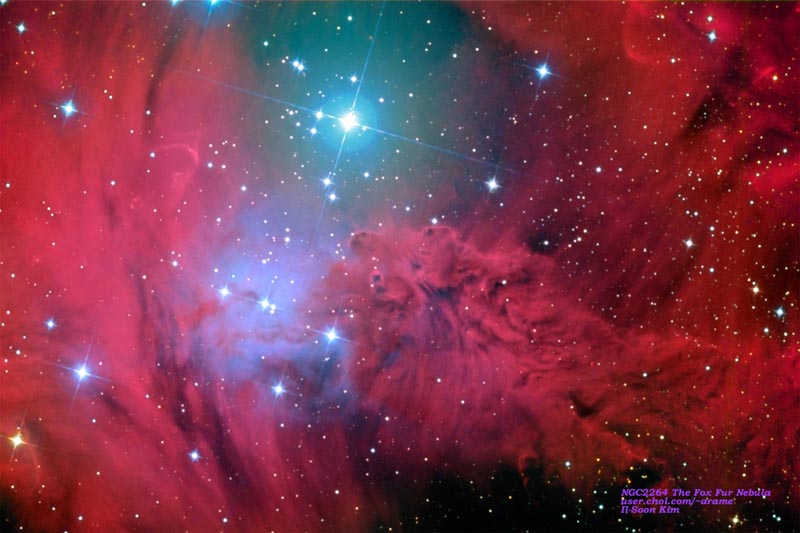 NGC2264 - Fox Fur Nebula