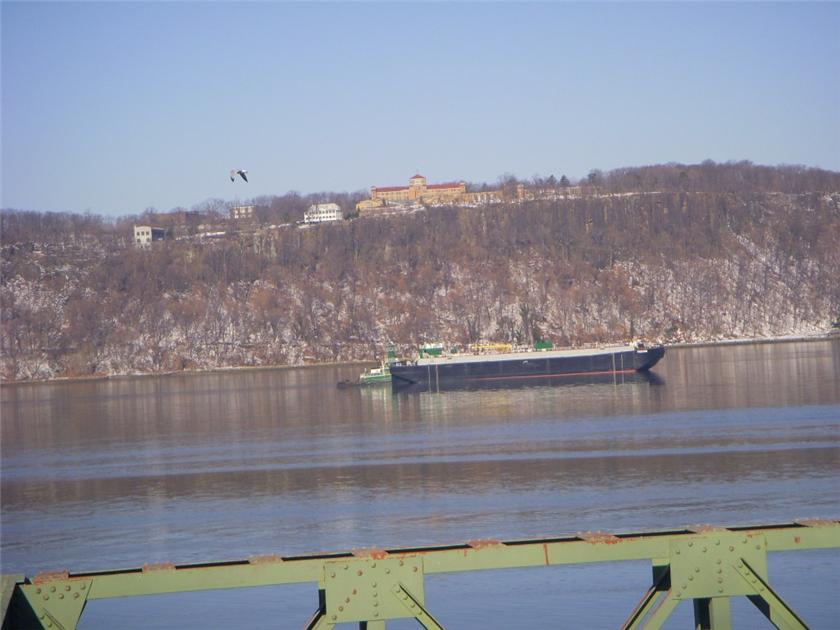 Bald Eagle over Hudson River, in NYC!