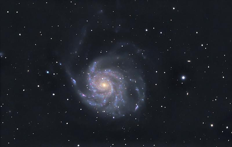 M-101